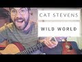 Cat Stevens - Wild World (Cours de guitare)+Partitions
