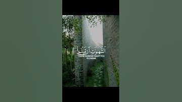 سورة النساء بصوت ياسر الدوسري
