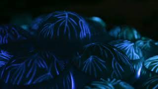 Sublime Illusion: M Schmidt Lighting