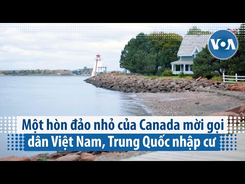 Video: Ý tưởng Quà tặng Độc đáo Từ Vancouver