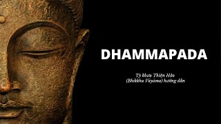 Lớp Kinh Pháp Cú Dhammapada Pali - Câu 145 (tiếp theo) I Sư Thiện Hảo Giảng Dạy