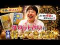 【今週の井上さん!】〜 タロット占いに行った話 〜