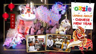 Learn About Chinese New Year For Kids | Dragon and Lion Dancing | Educational Video Lunar New Year screenshot 4