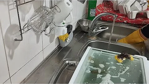 ASMR Dishwashing: Soothing Sounds of Relaxation in Every Movement