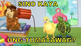 Wonder pets tagalog (Sa Telepono May tumatawag)