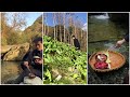 Tik tok trung quốc - ẩm thực núi rừng #3 - nấu ăn ngon mountain cuisine - cook good food