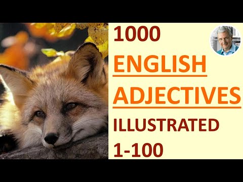 1000 ENGLISH ADJECTIVES 1-100 (114 ILLUSTRATED EXAMPLES)