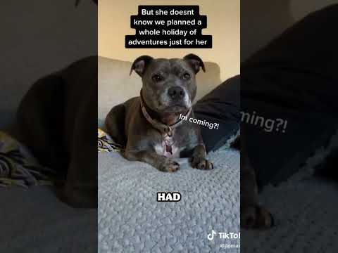 Best SURPRISE of her life🥹❤️ #shorts