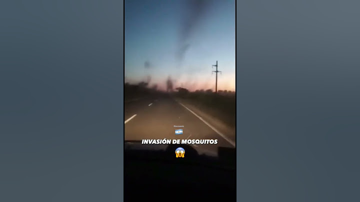 Invasión de Mosquitos Argentina #mosquitos #insects #miedo #misterio #pican #invasión #argentina🇦🇷