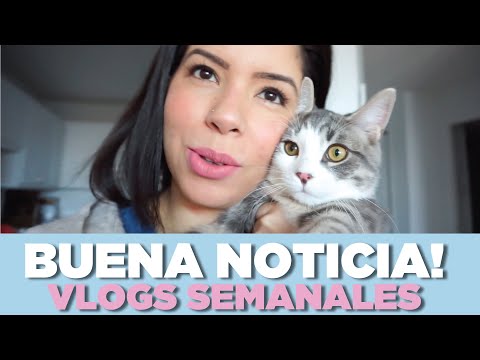 VIDEOS SEMANALES - BUENA NOTICIA