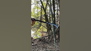 Tôi làm con dao quắm phát rẫy bằng thép trục tàu thủy chặt cây như chặt chuối vậy