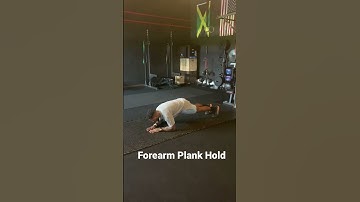 Forearm Plank Hold