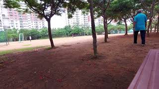 PFR Football 19-Jun-2026