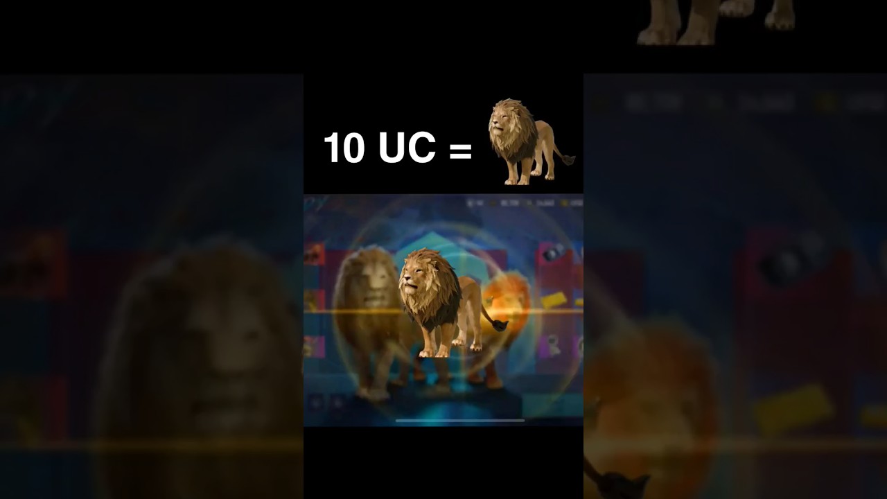 Lion Companion in 10 UC 😱