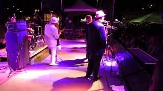 The Slackers, PRB 2104, "Wasted Days/ Have The Time."