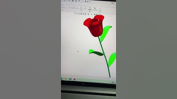 Solidworks Three-dimensional flower