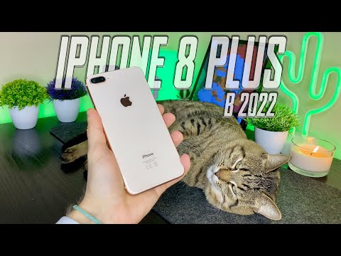 iPhone 8 Plus в 2022 — Лучший ЗА СВОИ ДЕНЬГИ!?