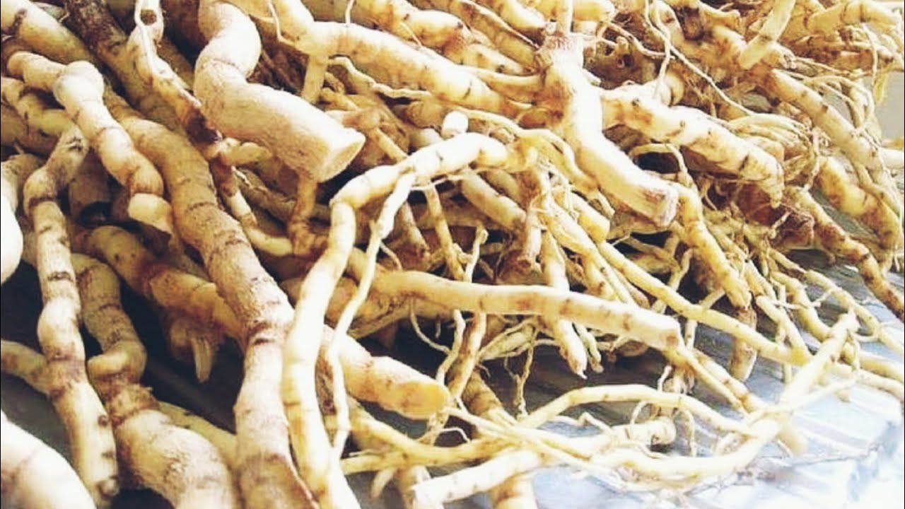 EDAGALA LYA AMANNYI GEKISAJJA OMUSAJJA AMALA AMANGU MUKISENGE[Official Music Video]