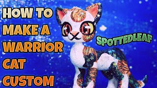 HOW TO MAKE A WARRIOR CATS CUSTOM FROM START TO FINISH!