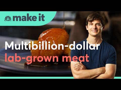 Video: Within A Few Years, Lab-grown Meat Will Appear On The Shelves - Alternative View