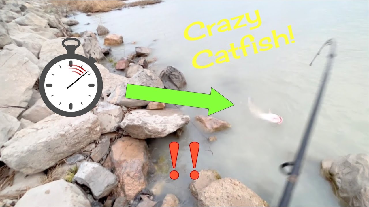 Utah Lake RECORD time CATFISHING!! (INSANE) YouTube