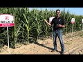 What is R3 Brown Silk in Corn? Why is it important to push nutrients into Corn during R3?