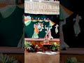 Gujarat Dance