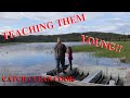 Catch clean cook/Alaska Trout Fishing