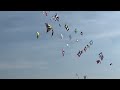8th International Quadline Kite Meeting Brouwersdam 2024