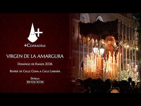 Pontificia, Real e Ilustre Hermandad Sacramental y Cofradía de Nazarenos de Nuestro Padre Jesús del Silencio en el Desprecio de Herodes, María Santísima de la Amargura Coronada, San Juan Evangelista y Santa Ángela de la Cruz