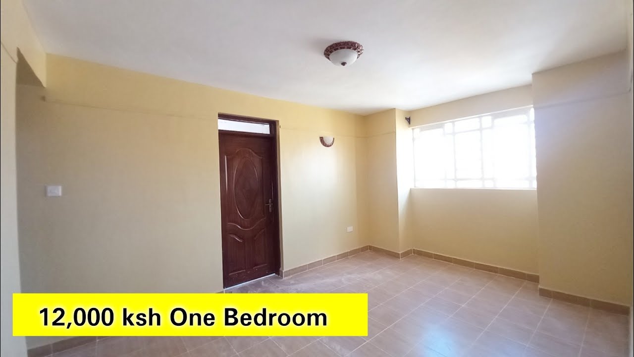 ( 12,000 ksh / 13,000 ksh ) Very Affordable  And Spacious  One Bedroom  Apartment Tour  In Nairobi .