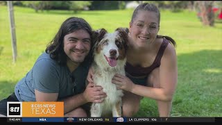 Mysterious respiratory illness spreading in dogs, killing some