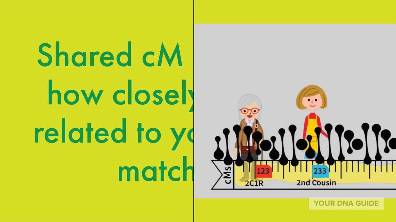 What's A Centimorgan?