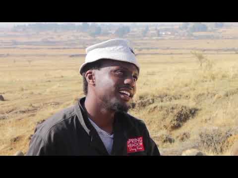 Itshe Lezimanga (Zulu Drama Trailer)