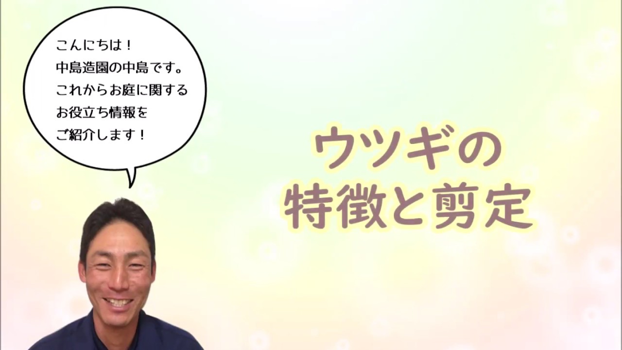 ウツギ 空木 の特徴と剪定 お手入れ 加須市 久喜市 幸手市の植木屋 Youtube