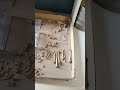 Part 2:West Coast Fossil Park Escapade