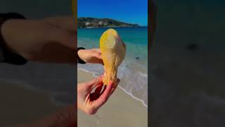 Amazing facts😱 l fact shorts l explantion l #youtubeshorts #foryou #shortvideo #shorts #shortsfeed