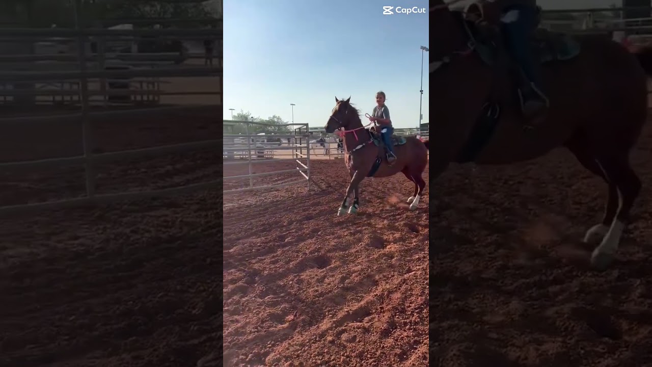 FREEBIEE 😍 freebie made me fall off in the warm up arena so yea! 😭