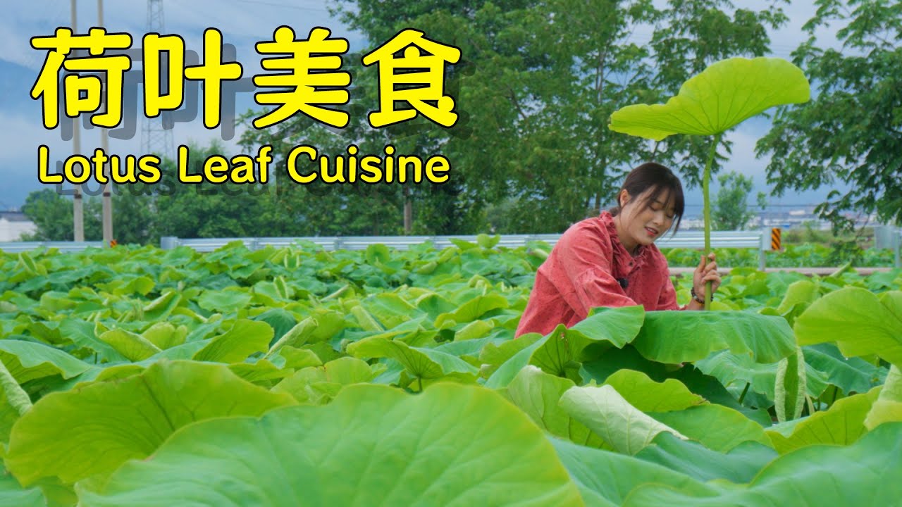 雨前摘的嫩荷叶，用来做圆子和烤鸡正合适！【叫我阿霞Channel】