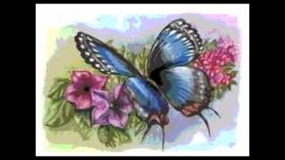Download Lagu My Sweet Butterfly (Richard van Bergen) MP3