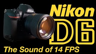 Nikon D6 14 FPS Shutter Sounds