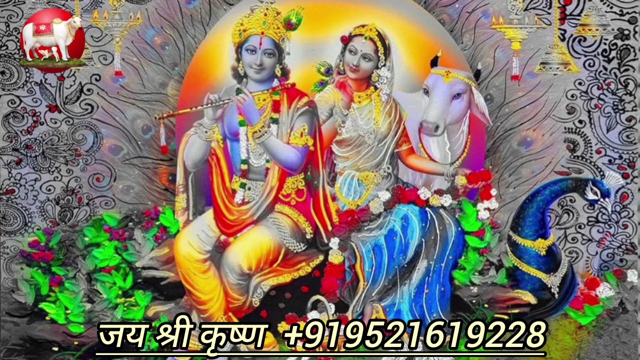 भजन- मेरो राधा रमण गिरधारी/ Ramchandar ji jalampura wale @#$_& - +919521619228