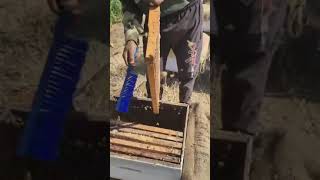 Natural Honey From Beefarm Our Honey 100% Pure And Organic.