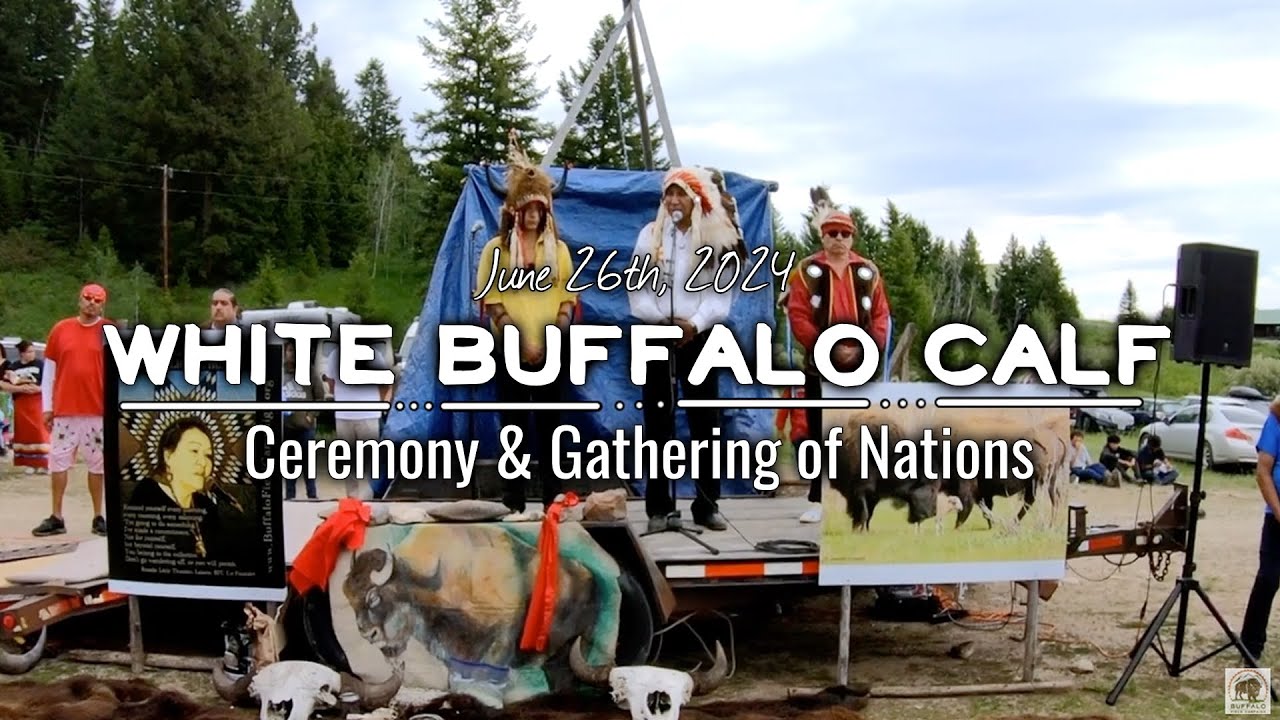 Yellowstone White Buffalo Calf Naming Ceremony, "Wakan Gli" or Returns Sacred