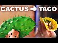 Grilled cactus paddle tacos with soy-citrus glaze