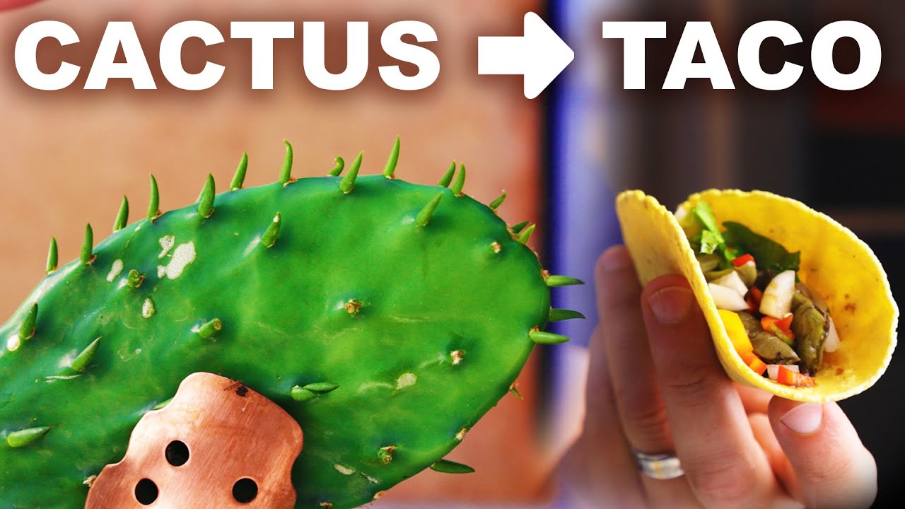 Grilled cactus paddle tacos with soycitrus glaze