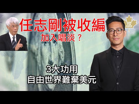 任志剛被收編加入唱淡？| 3大功用自由世界難棄美元