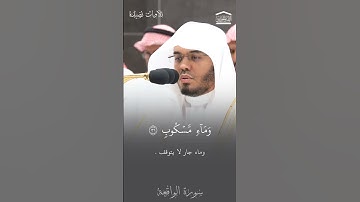 تلاوة الشيخ ياسر الدوسري - صلاة العشاء 3 ربيع الأول 1446 - سورة الواقعة . #تلاوات_نضيدة