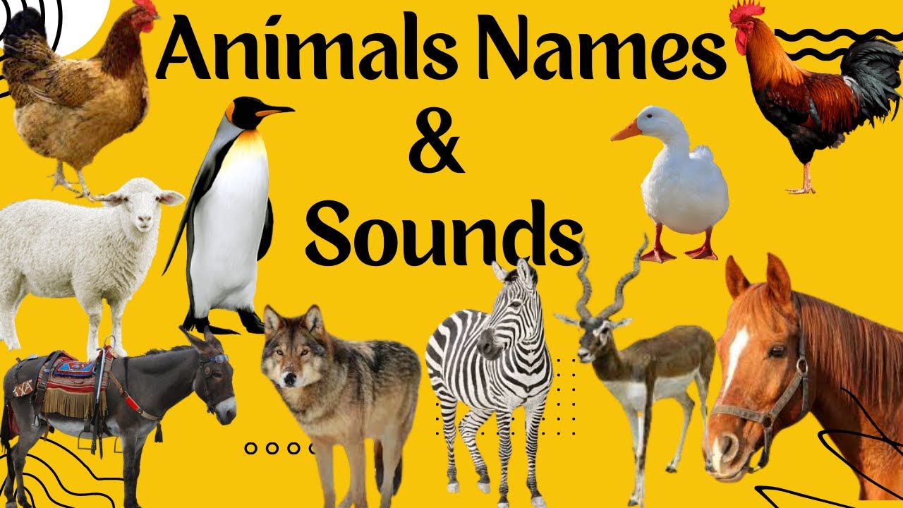 Animal Names and Sounds for Children 10 Amazing Animals for Kids