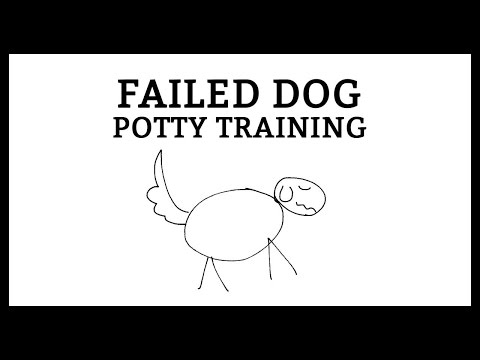 failed-potty-dog-training